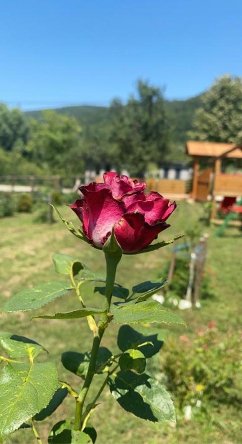 Wooden House Ripac Villa Bihać Dış mekan fotoğraf